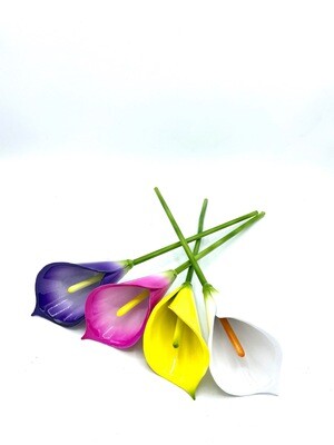 Aluma Calla Lilies
