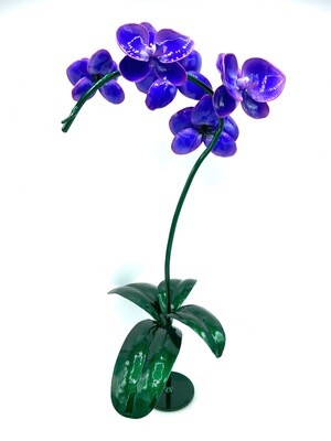 Colored Aluma Orchid