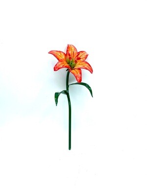 Single Aluma Lily