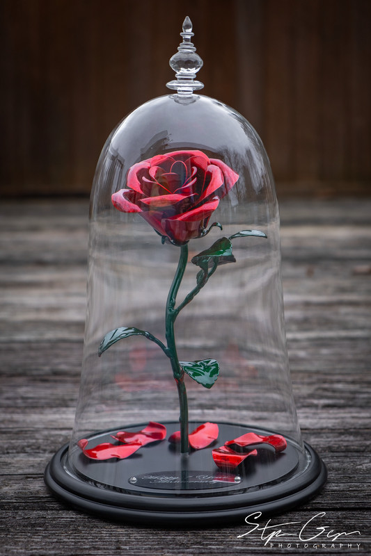 The Enchanted Aluma Rose