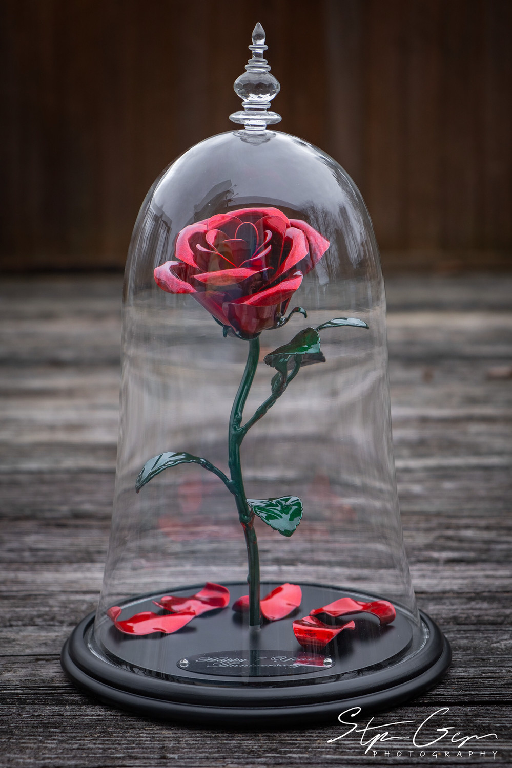 The Enchanted Aluma Rose
