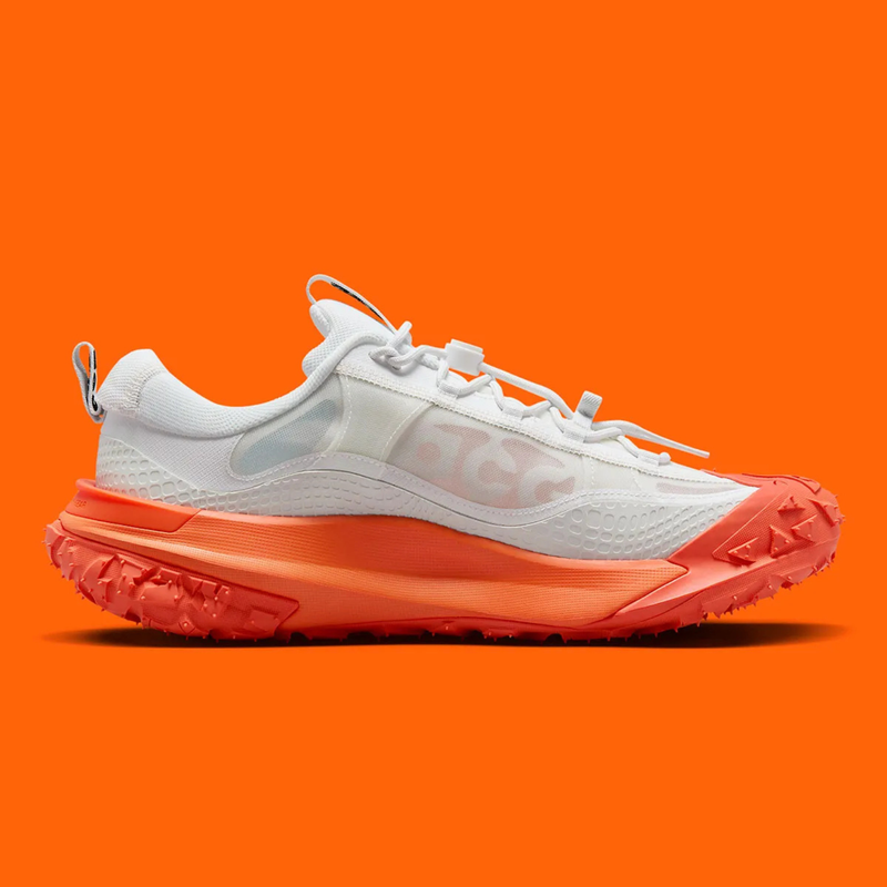 Nike ACG Mountain Fly Low