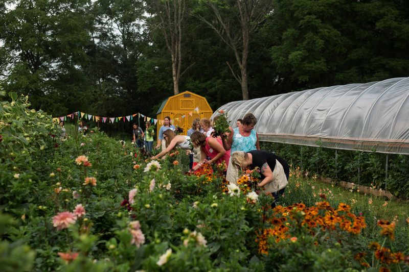 Farm to Vase | September 13th 2025