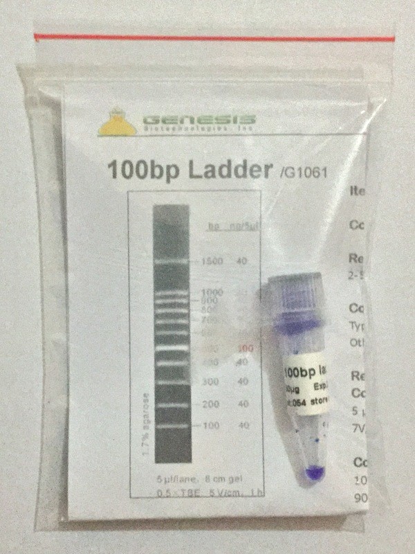 100 bp DNA Ladder - 50 μg