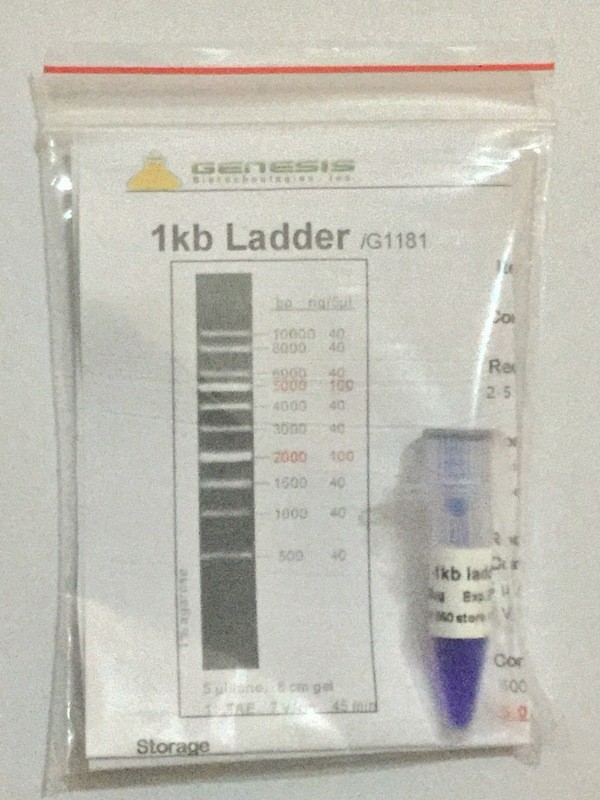 1 kb DNA Ladder 50 μg