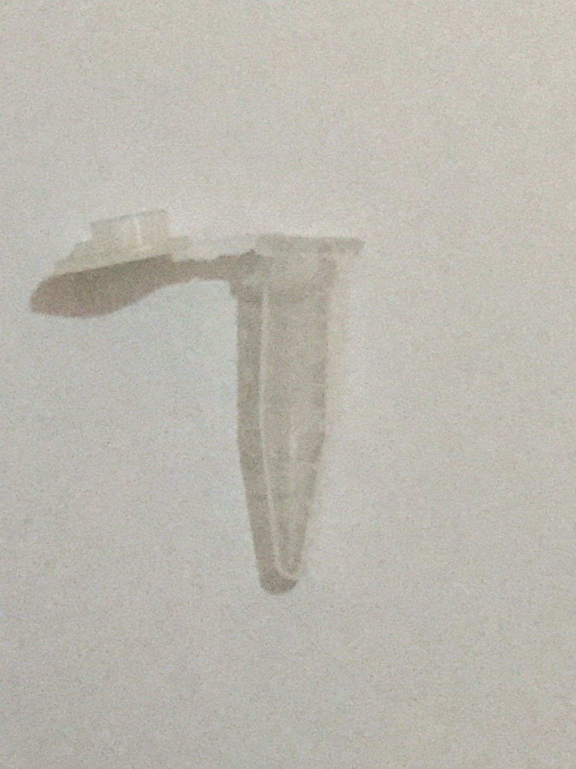 1.5 ml Microcentrifuge Tubes (500/Bag)