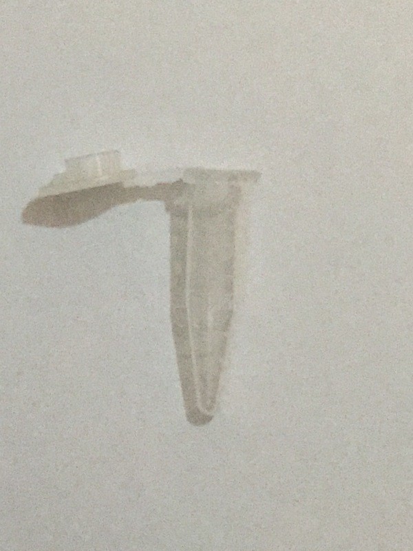 1.5 ml Microcentrifuge Tubes (500/Bag)