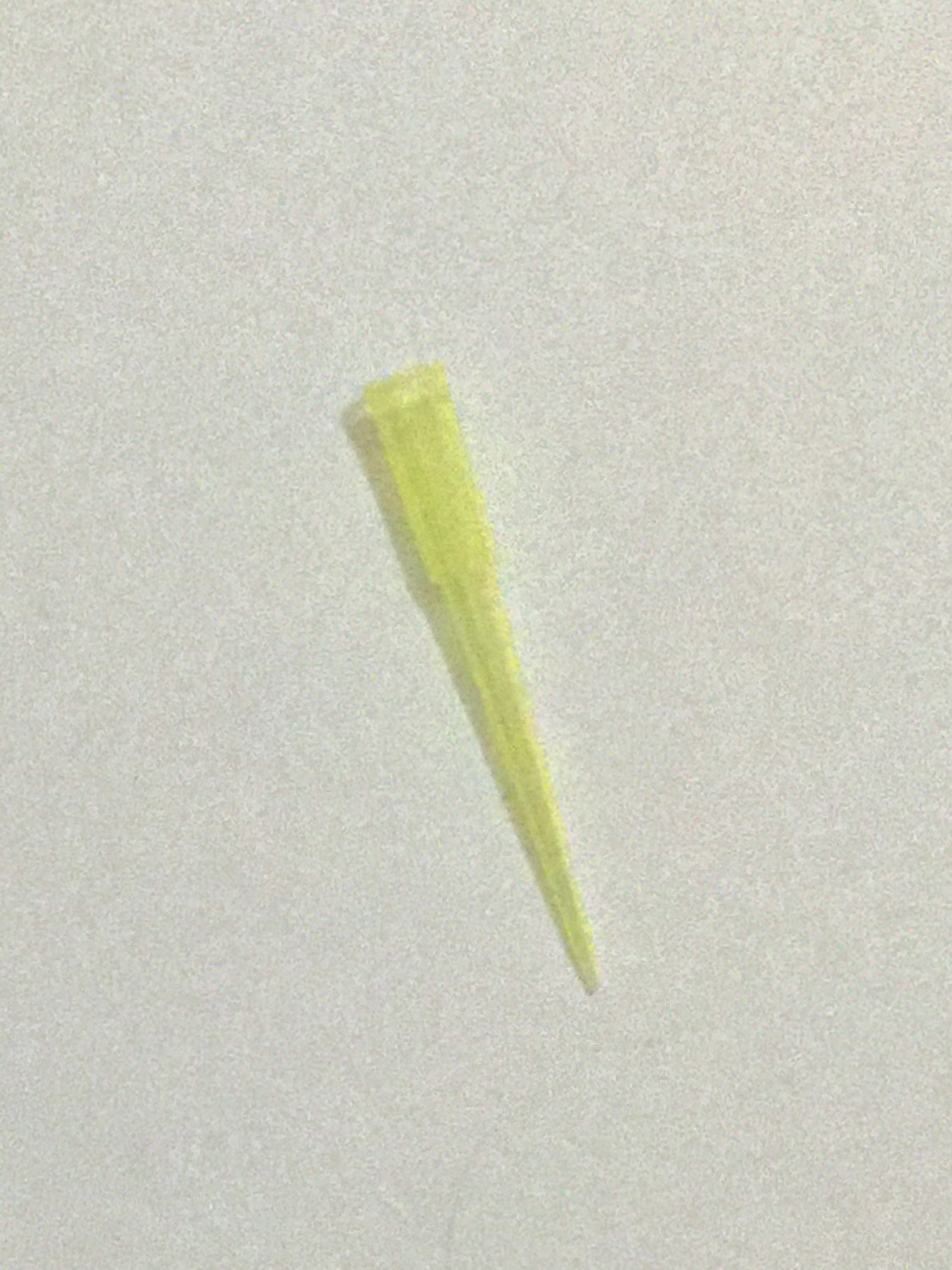 200 μl Pipette Tips - 1000/Bag
