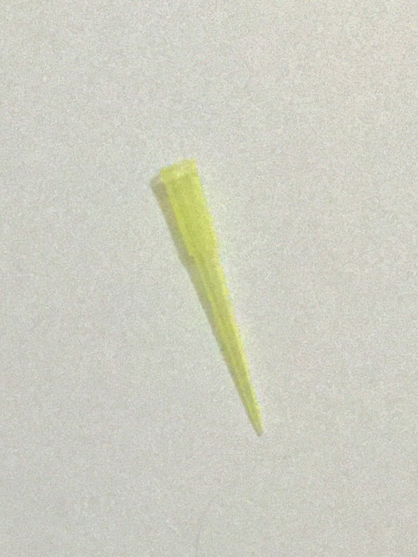200 μl Pipette Tips - 1000/Bag