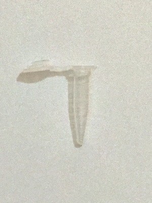 PCR Tubes
