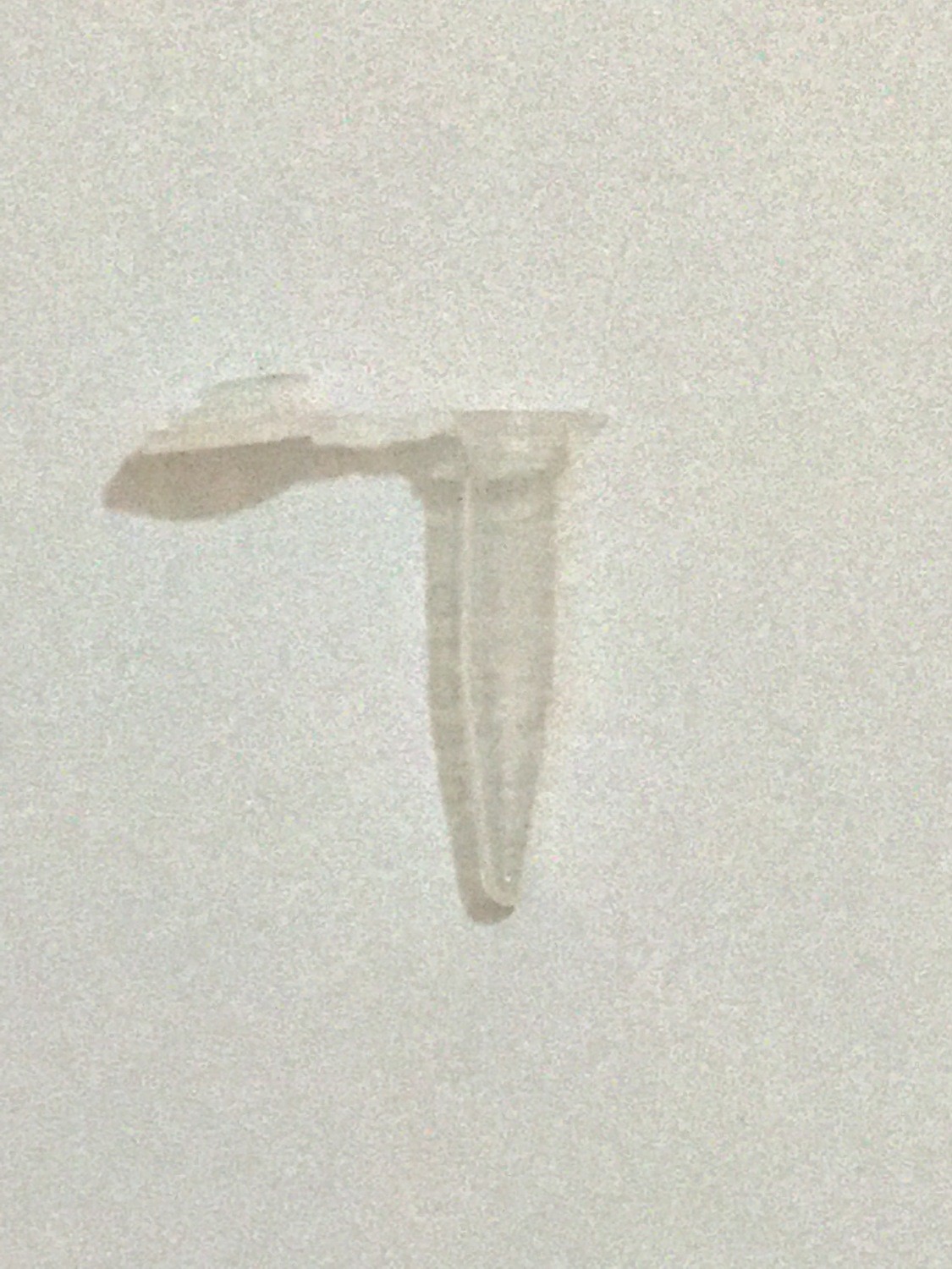 0.5 ml PCR Tubes - 1,000/Bag