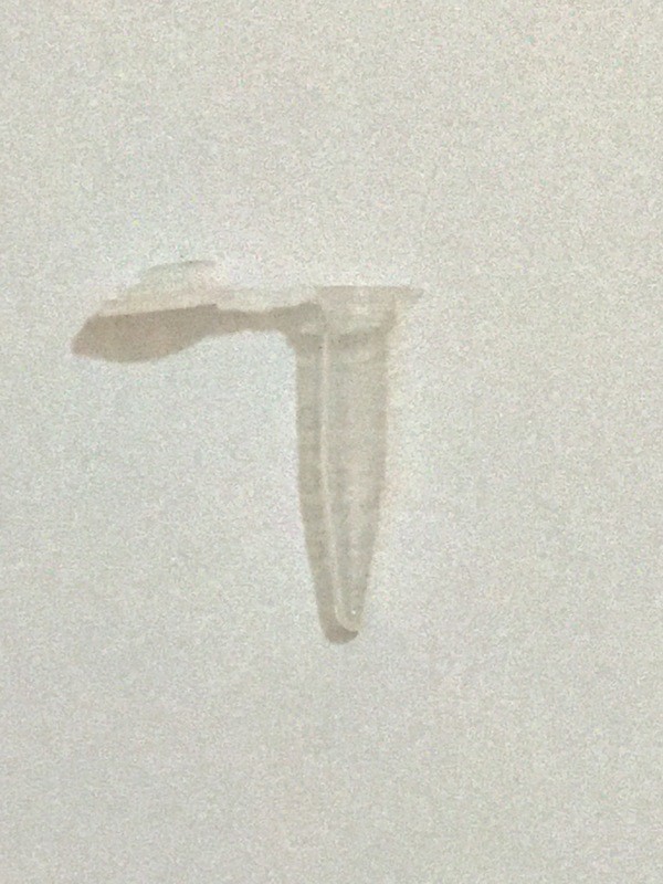 0.5 ml PCR Tubes - 1,000/Bag