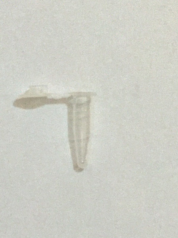 0.2 ml PCR Tubes (Flat Cap) Nuclease Free - 1000/Bag