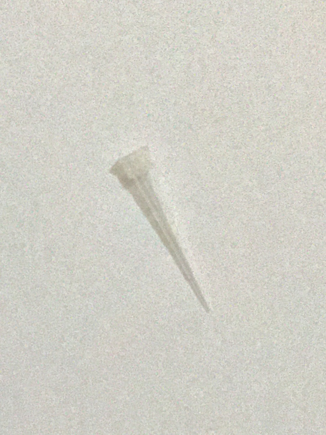 10 μl Pipette Tips - 1,000/Bag
