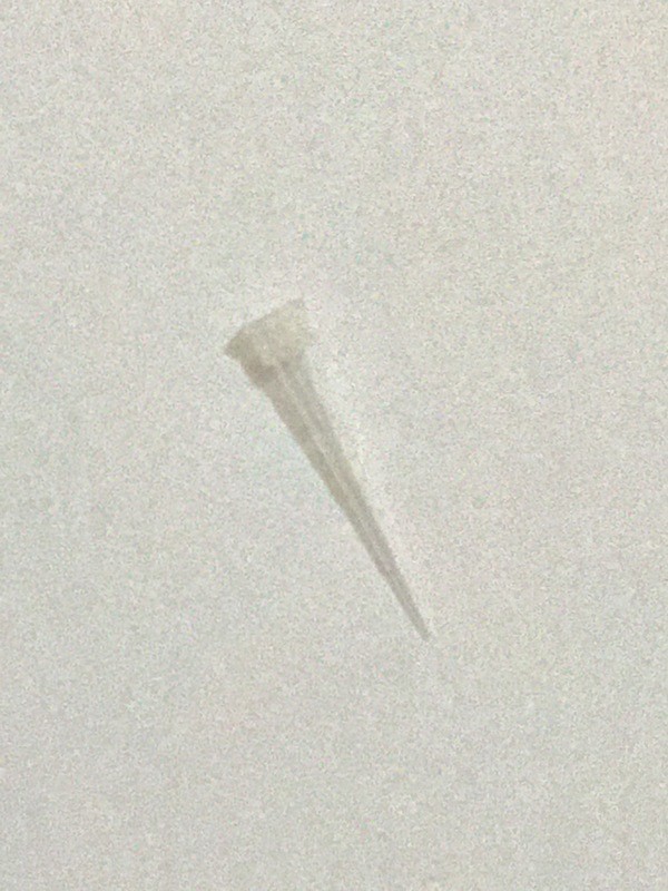 10 μl Pipette Tips - 1,000/Bag