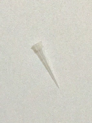10 μl Pipette Tips - 1,000/Bag