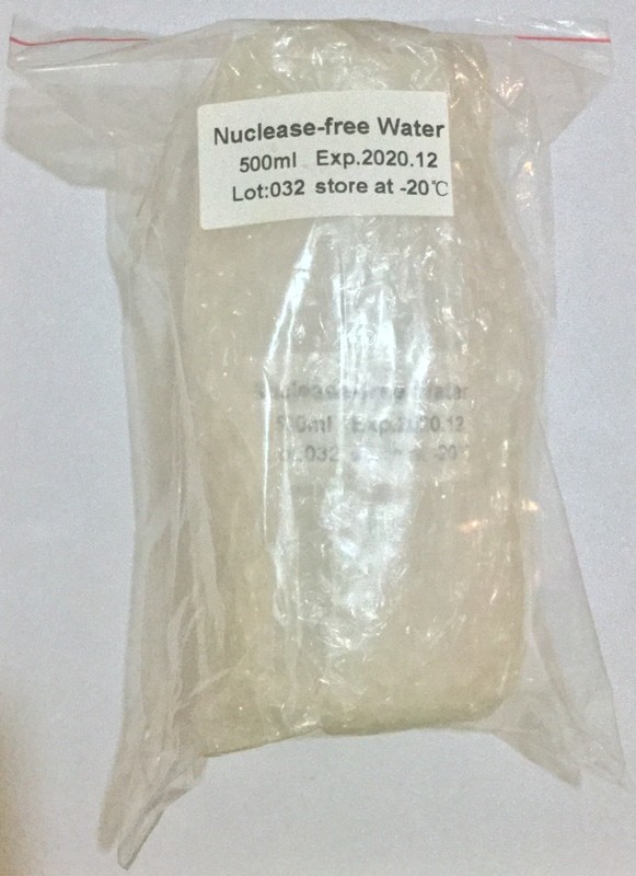 Water - Sterile Nuclease-Free 500 ml