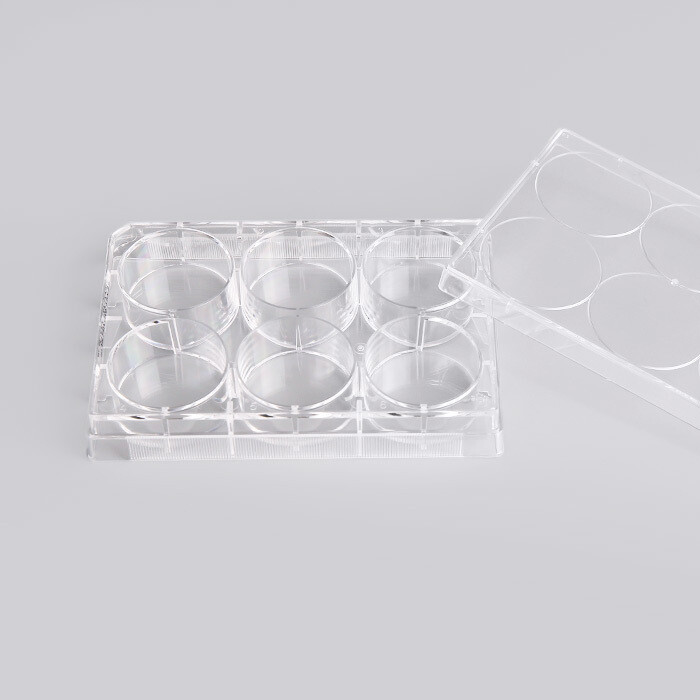 6-Well Tissue Culture Plate - Treated (50/Case)