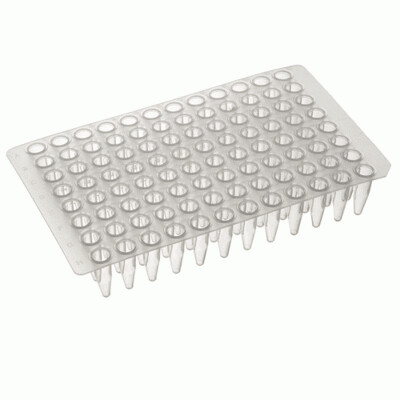 96 Well Plates