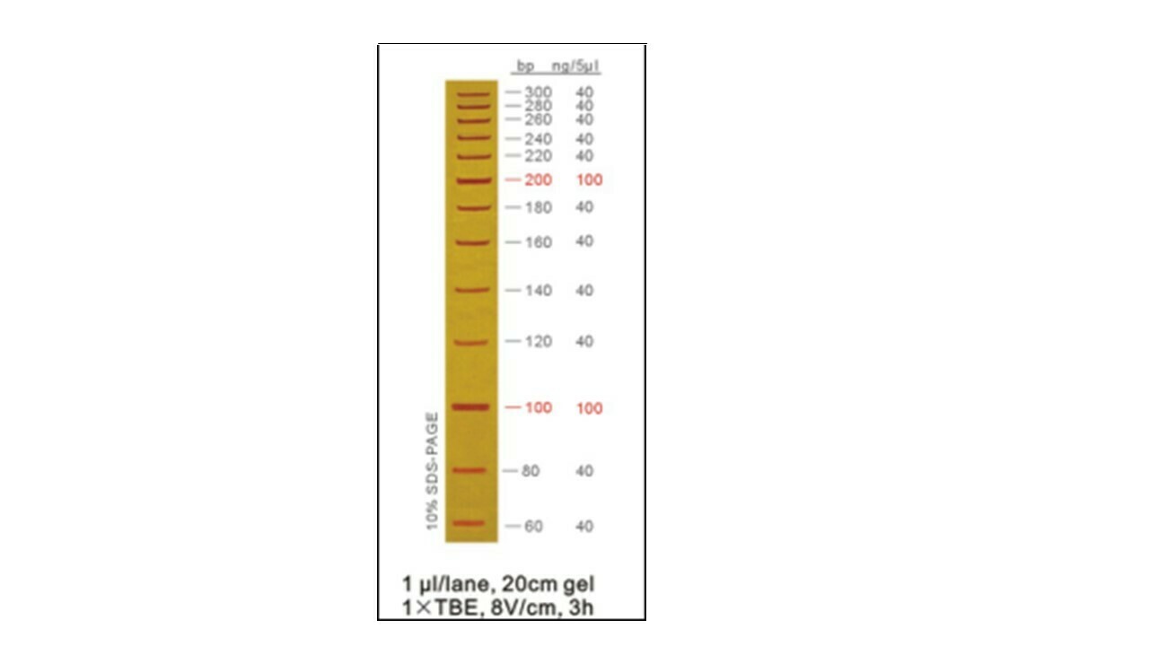 20 bp DNA Ladder - 50 μg