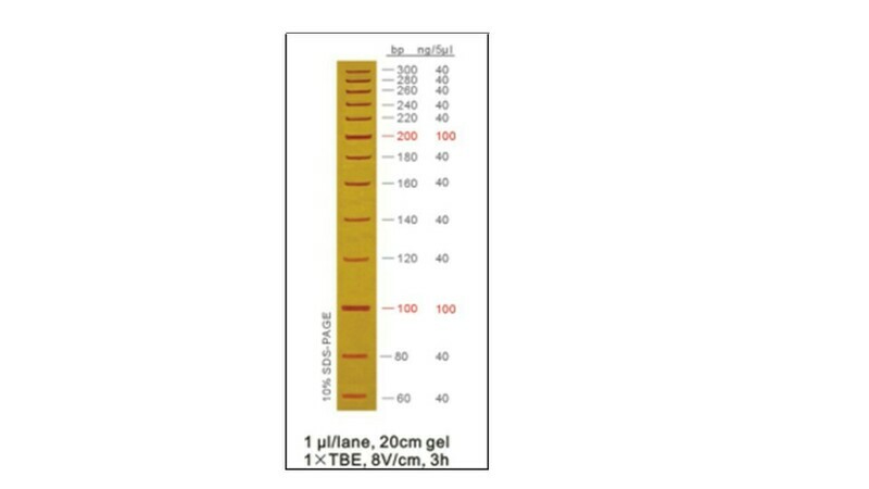 20 bp DNA Ladder - 50 μg