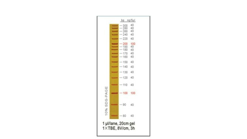 10 bp DNA Ladder - 50 μg