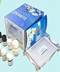 ELISA Kits