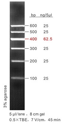 100 - 600 bp DNA Ladder - 50 μg