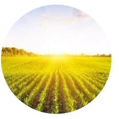 Agriculture