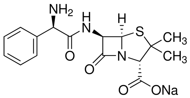 Ampicillin 25 g