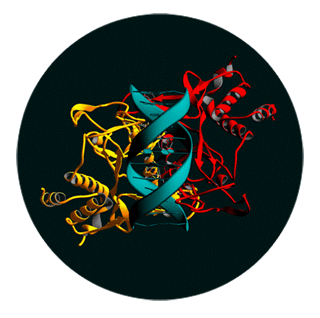 Molecular Biology