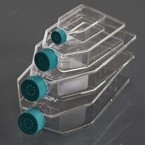 25 cm2 Plug Cap Disposable Tissue Culture Flasks 10/Pack - Assorted