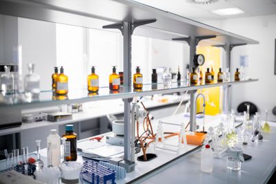 🧪 Chemicals &amp; Reagents
