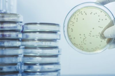 🦠 Microbiology