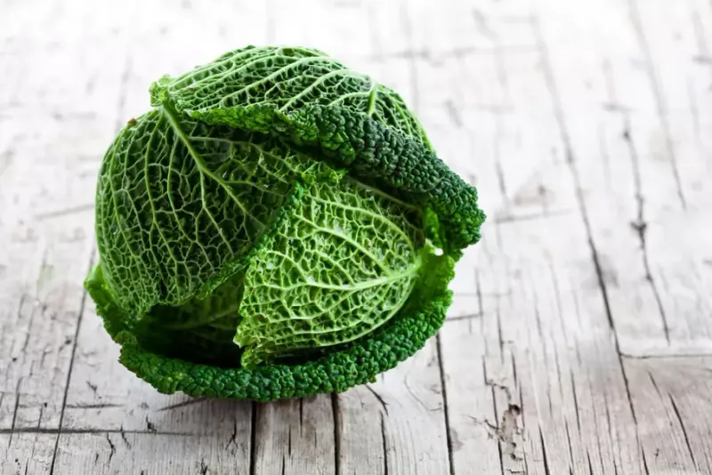 Chou vert