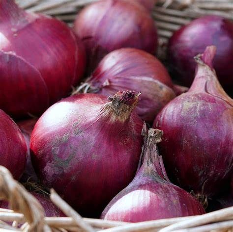 Oignons Rouge
