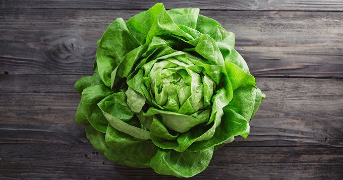 Salade Laitue