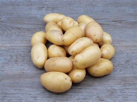 Pomme de Terre Grenaille