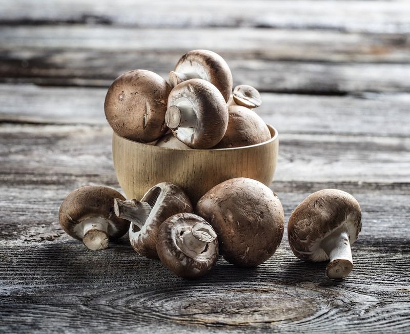 Champignons de Paris Brun