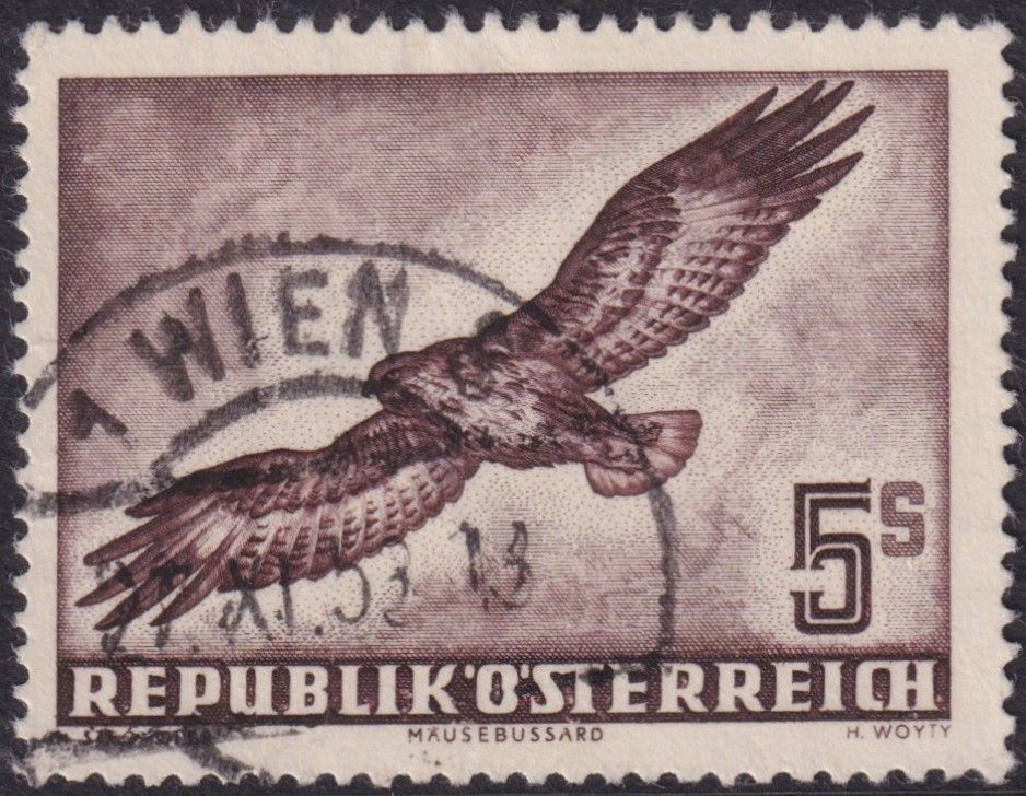 Austria 1950 5s Buzzard
