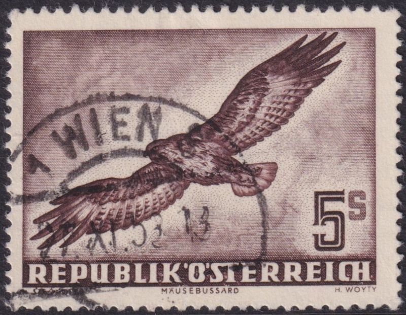 Austria 1950 5s Buzzard