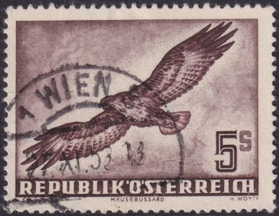 Austria 1950 5s Buzzard