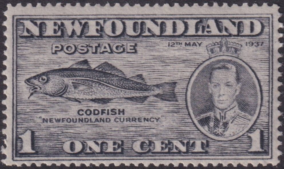Newfoundland 1937 1c Codfish with Fish-hook Flaw