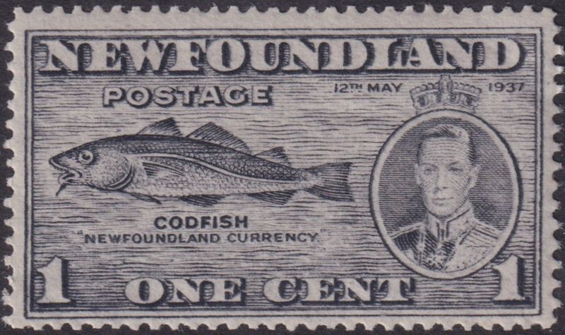 Newfoundland 1937 1c Codfish with Fish-hook Flaw