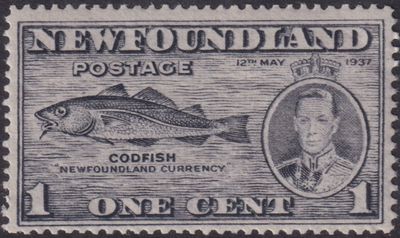 Newfoundland 1937 1c Codfish with Fish-hook Flaw