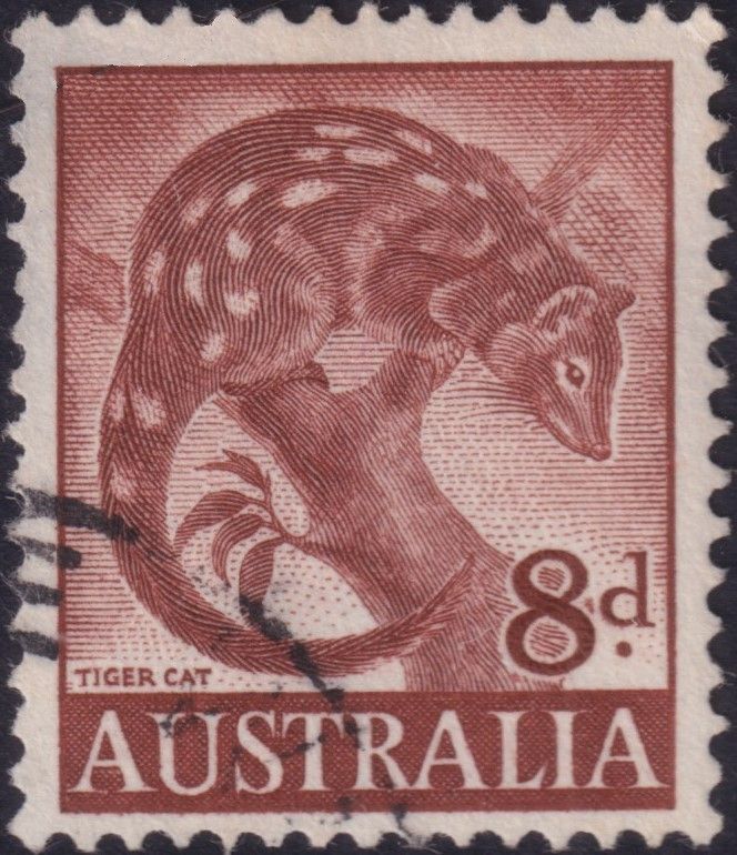 Australia 1960 8d Tiger Cat with Retouch Over Animal&#39;s Ear