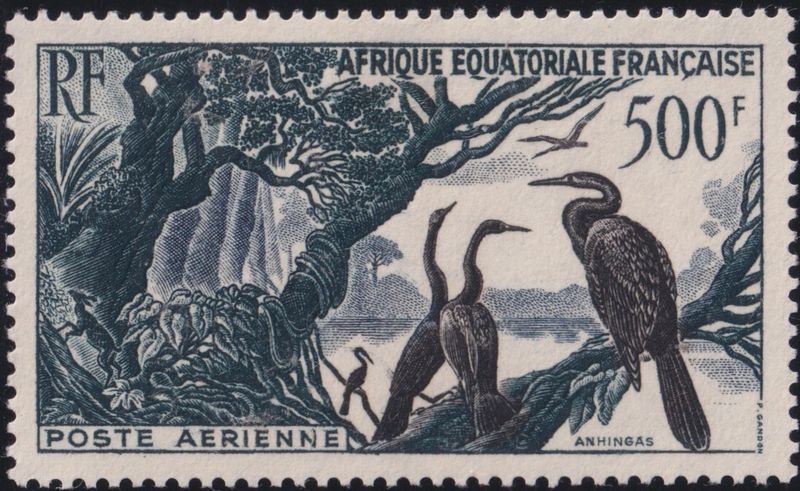 French Equatorial Africa 1953 500f Airmail