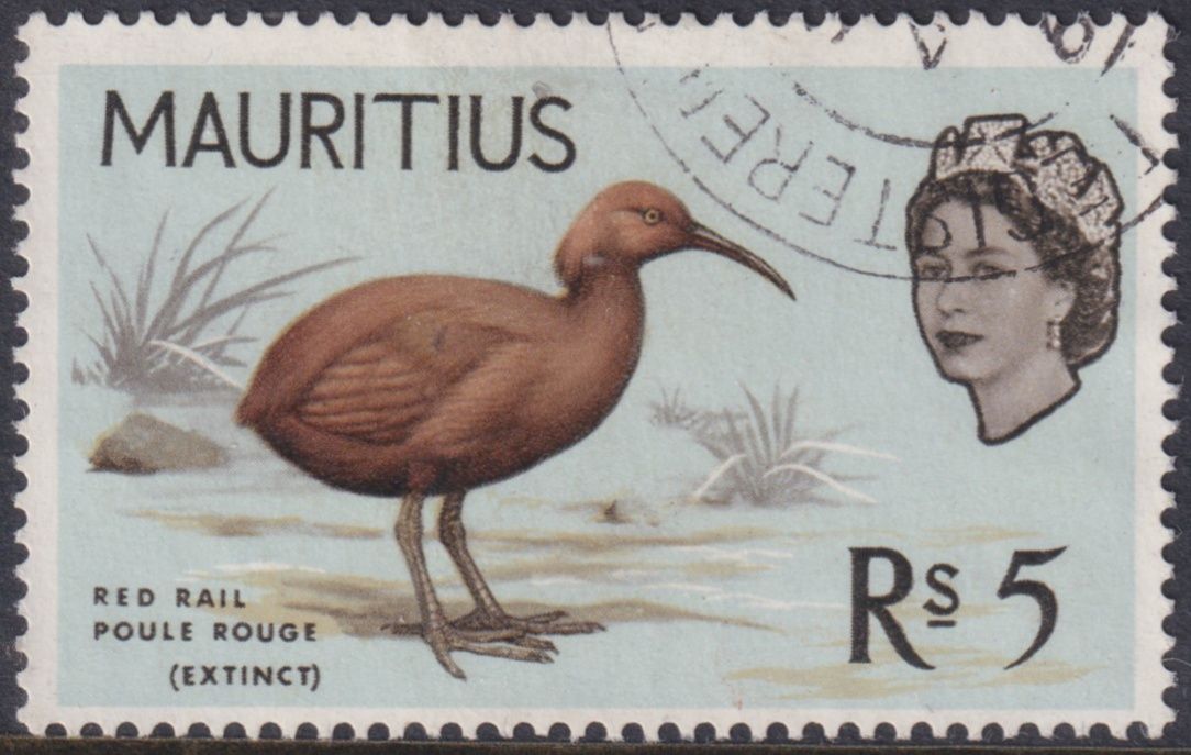 Mauritius 1965 5r Mauritius Red Rail
