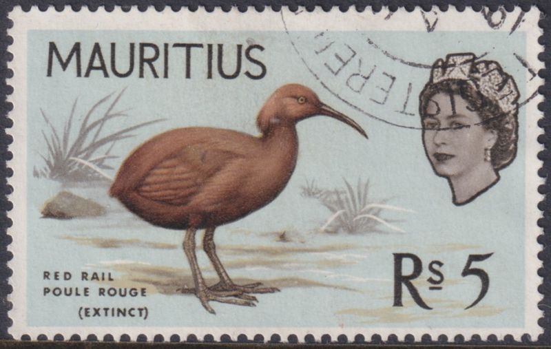 Mauritius 1965 5r Mauritius Red Rail