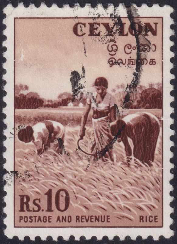 Ceylon 1954 10r Red-Brown and Buff Spacefiller